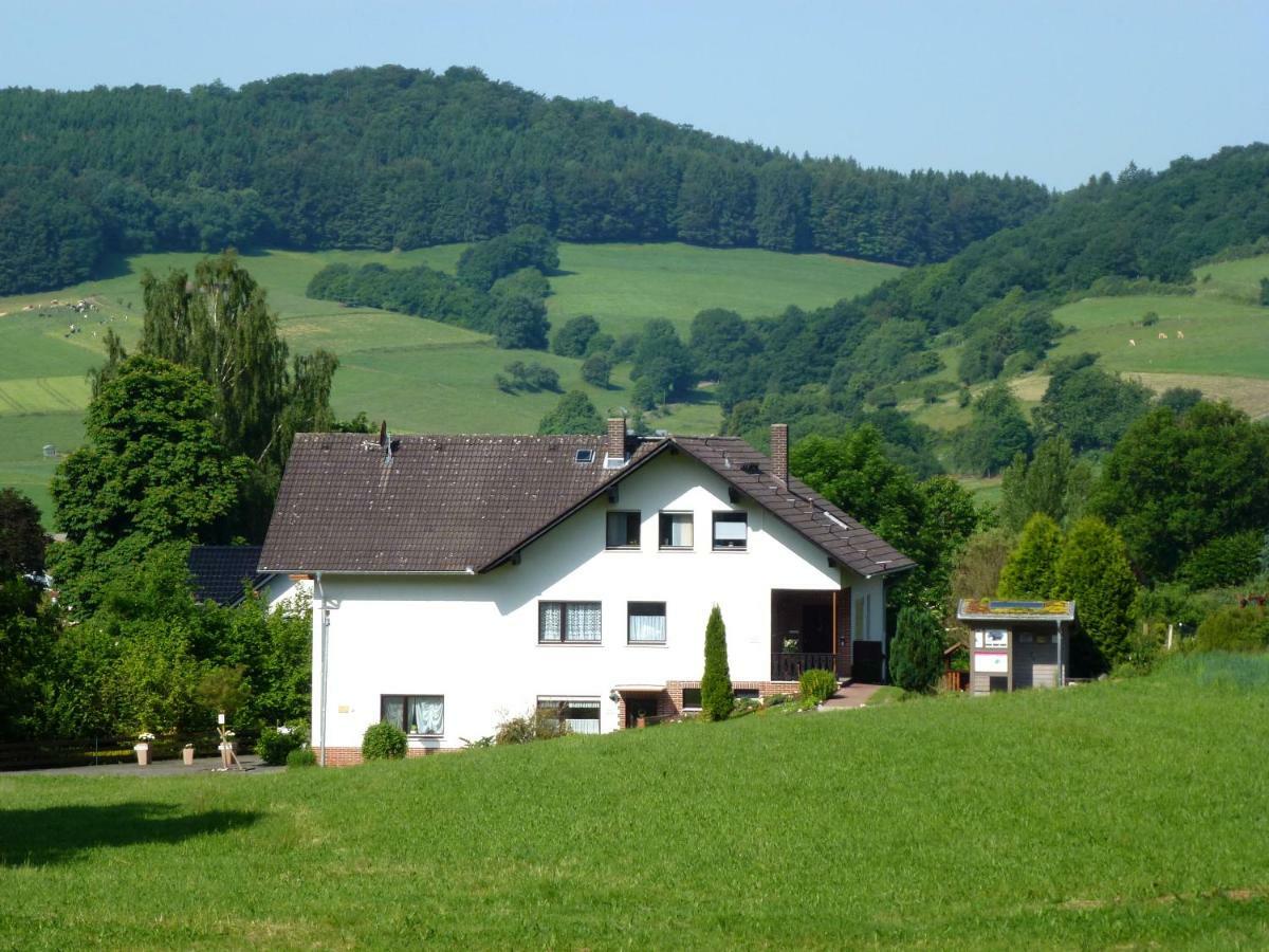 Ferienwohnungen Finke Frankenau Exterior photo